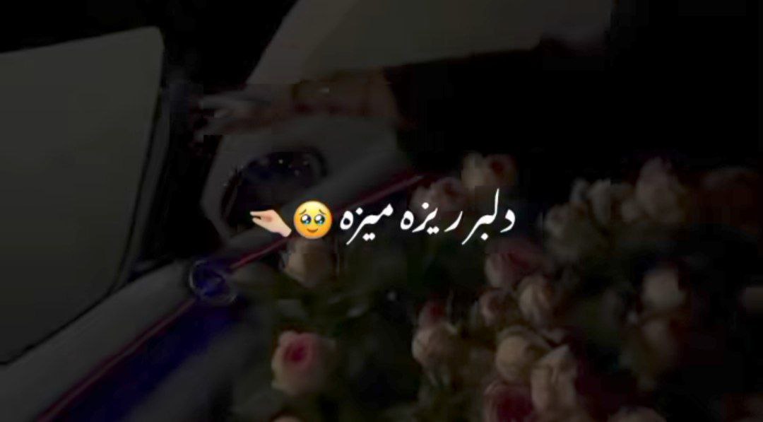  دلبر ریزه میزه دلم میخوادت تورو